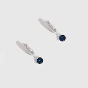 Pair of earrings with blue gemstones on a white background