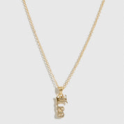 Zodiac Pendant
